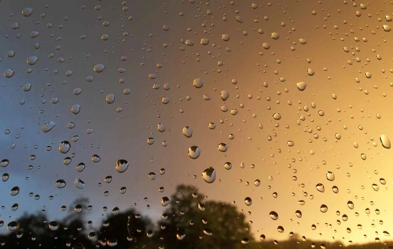 gesundheit-luftfeuchtigkeit