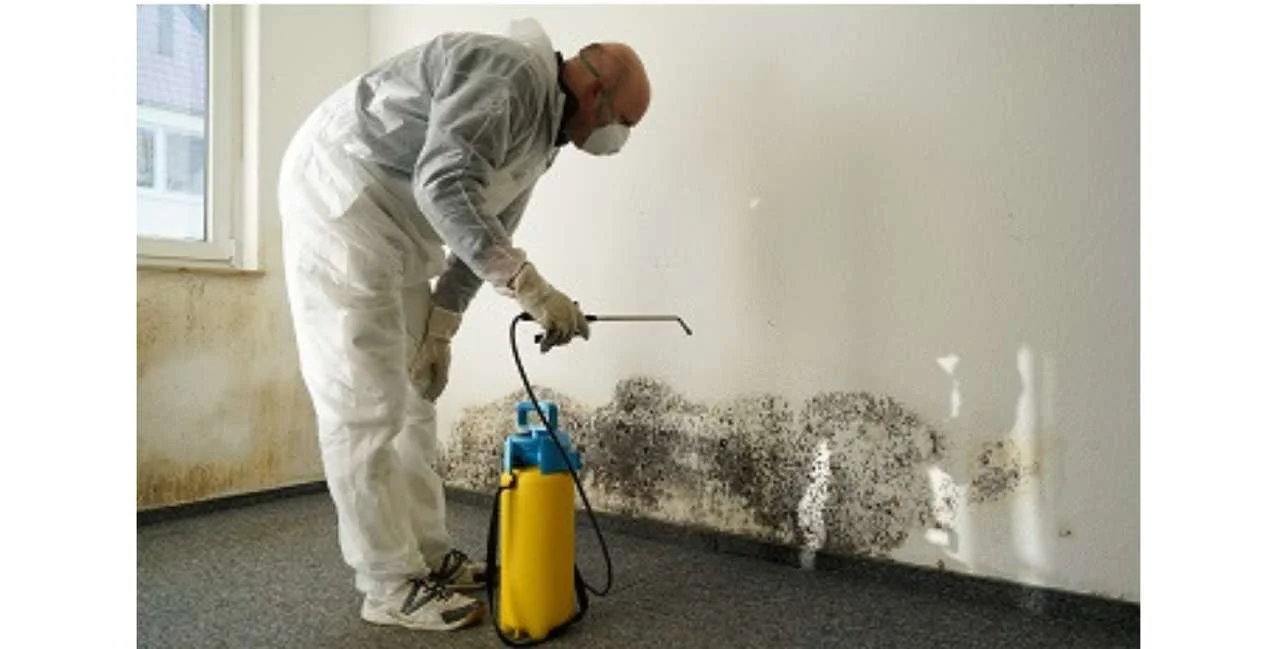 lueftung-kueche-schimmel