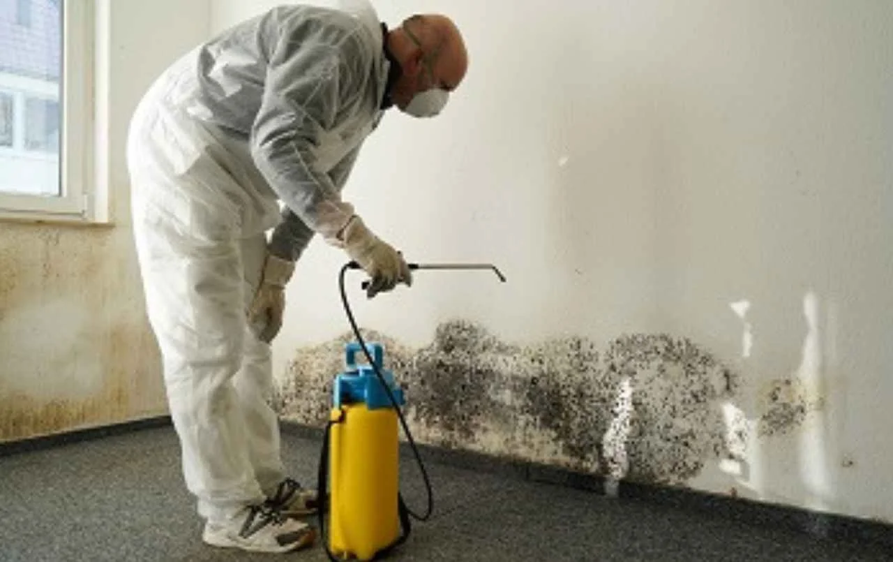 gesundheit-schimmel-schlafzimmer